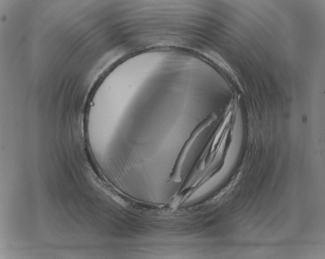 X0000076330790200610272028