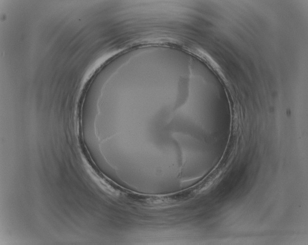 X0000076330795200610272028