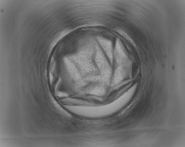 X0000076330797200610272028