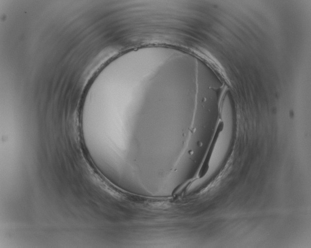 X0000076330798200610272028