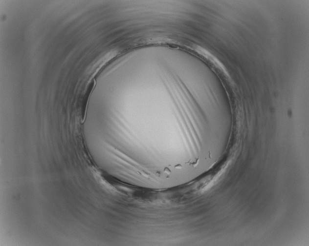 X0000076330801200610272028