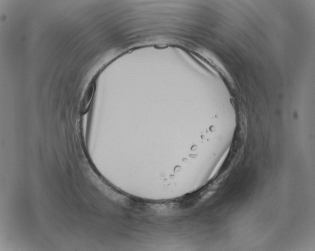 X0000076330805200610272028