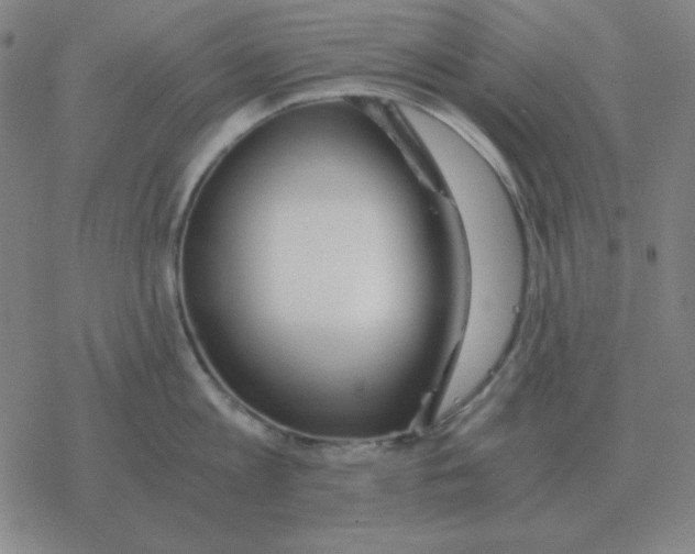 X0000076330813200610272028