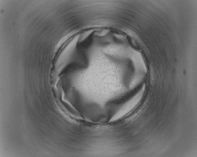X0000076330842200610272027