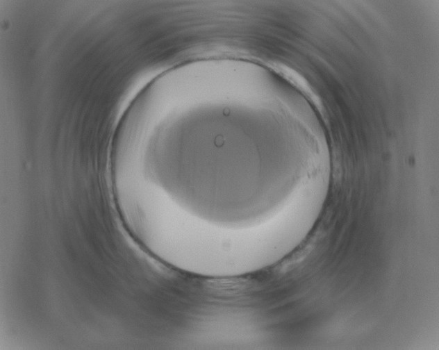 X0000076330863200610272028