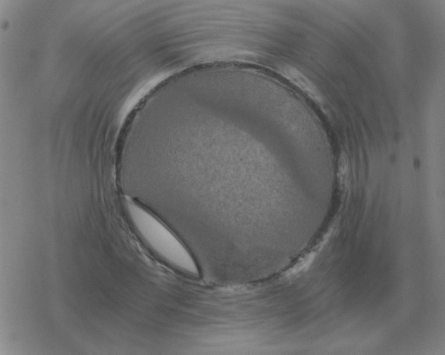 X0000076330877200610272027