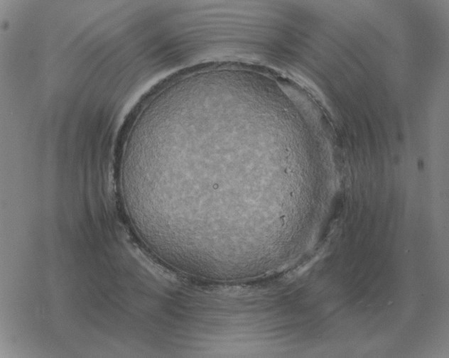 X0000076330880200610272027