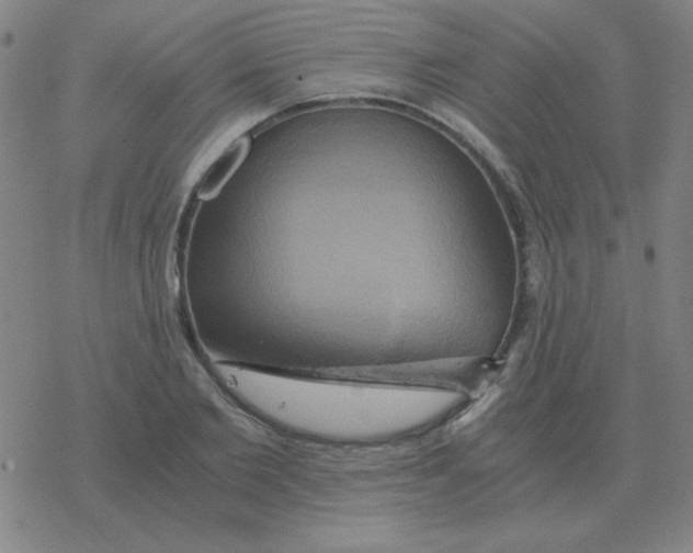 X0000076330885200610272027
