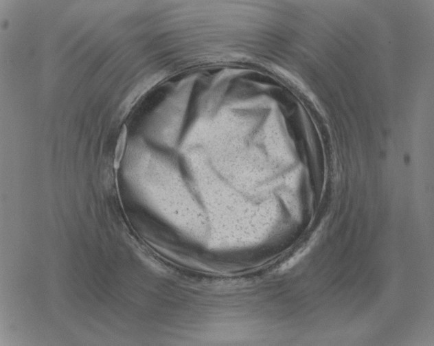 X0000076330889200610272026