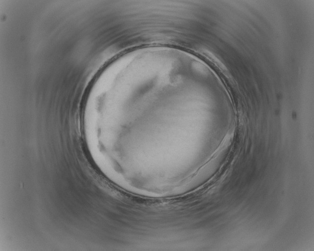 X0000076330891200610272026