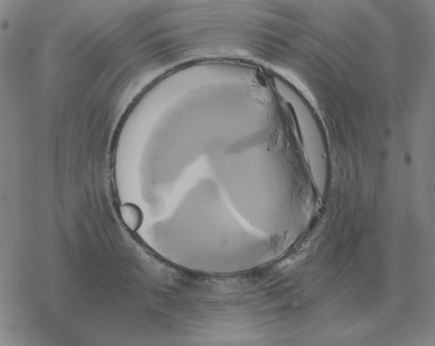 X0000076330895200610272026