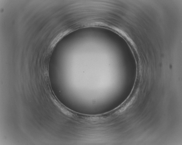 X0000076330897200610272026