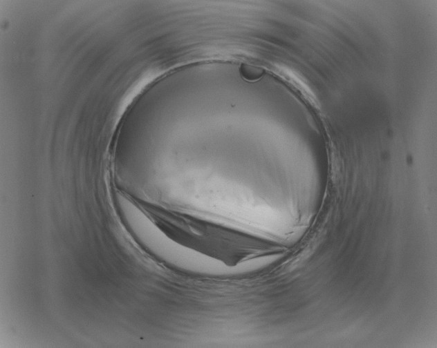 X0000076330899200610272026
