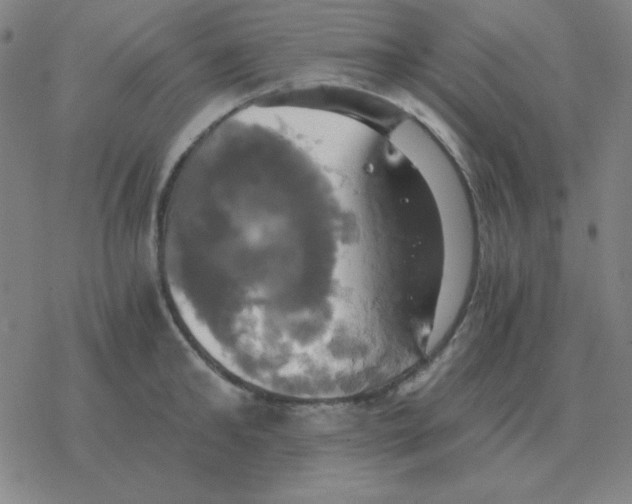 X0000076330902200610272026