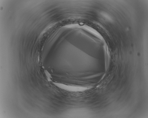 X0000076330919200610272025