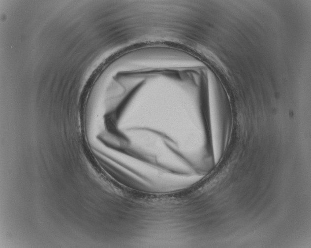 X0000076330934200610272026