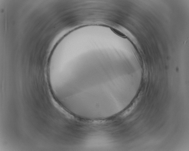 X0000076330958200610272026