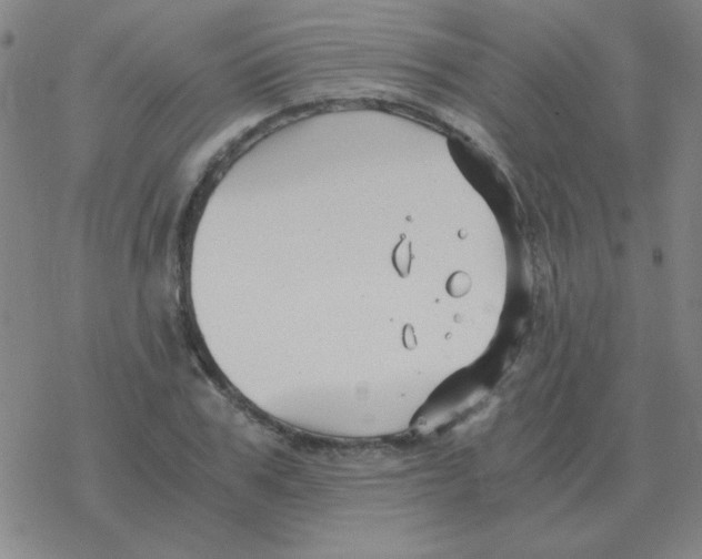 X0000076330979200610272025