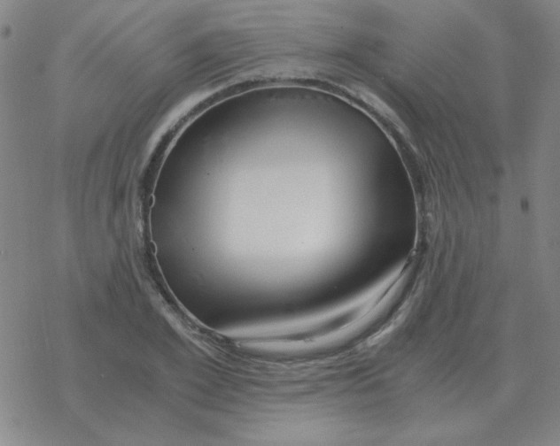 X0000076330981200610272025