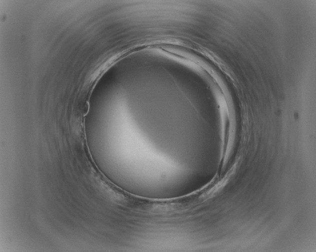 X0000076330985200610272025