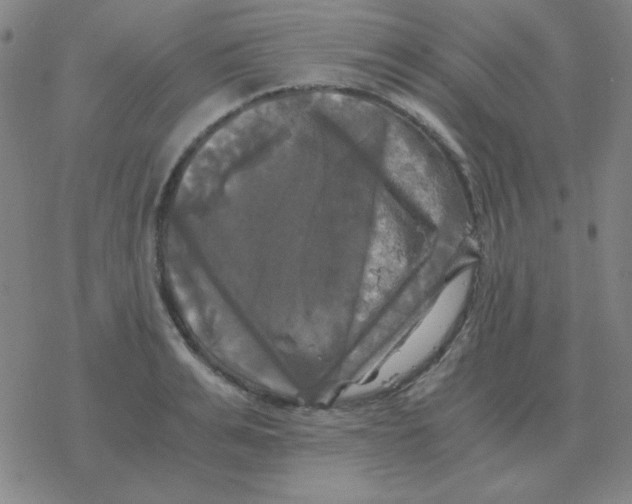 X0000076330991200610272025