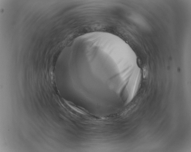 X0000076331011200610272024