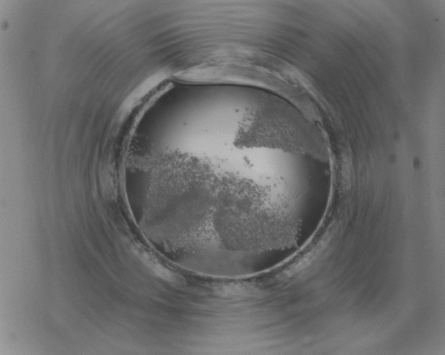 X0000076331018200610272024