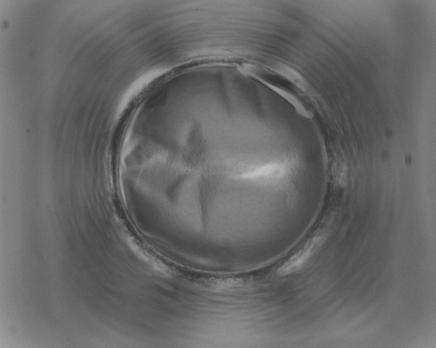 X0000076331030200610272024