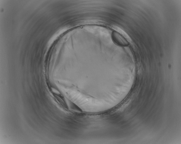 X0000076331043200610272024