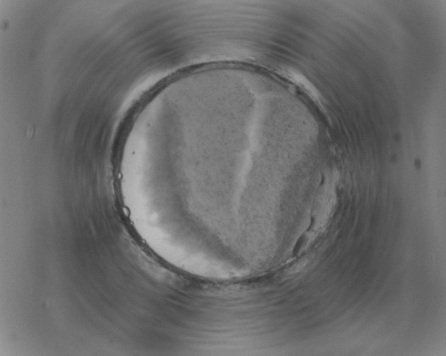 X0000076331072200610272024