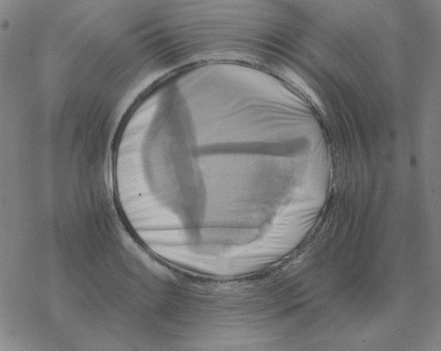 X0000076331084200610272023