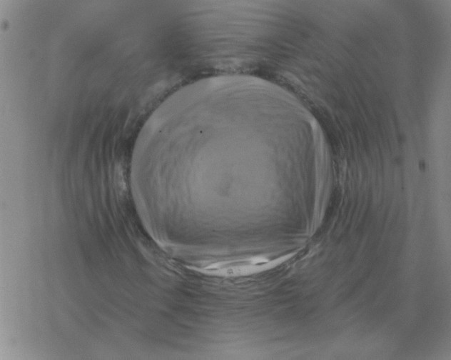 X0000076331106200610272022