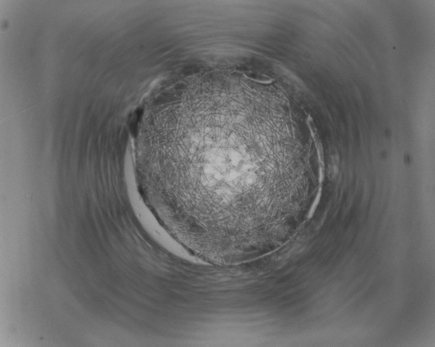 X0000076331108200610272022