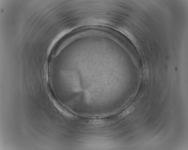 X0000076331128200610272023