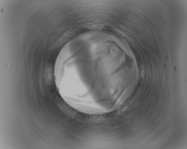 X0000076331154200610272022