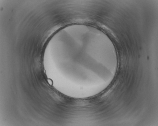 X0000076331170200610272022