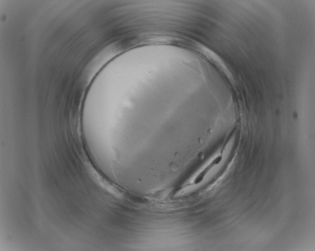 X0000076331194200610272022