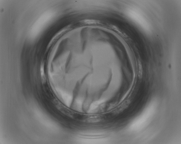 X0000076331198200610272021