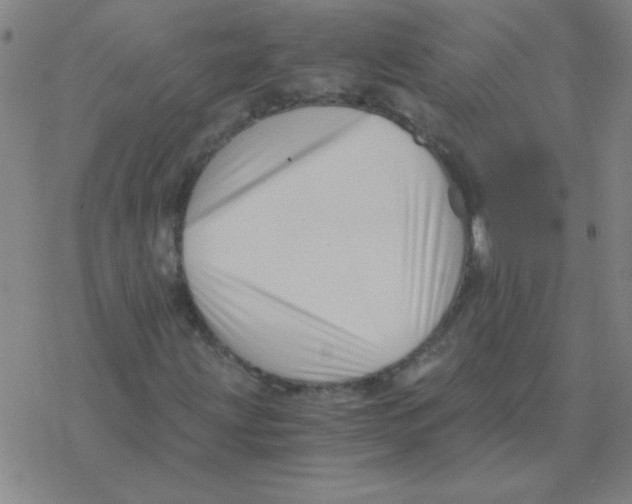X0000076331203200610272021