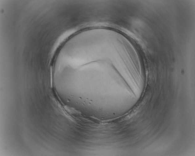 X0000076331223200610272021