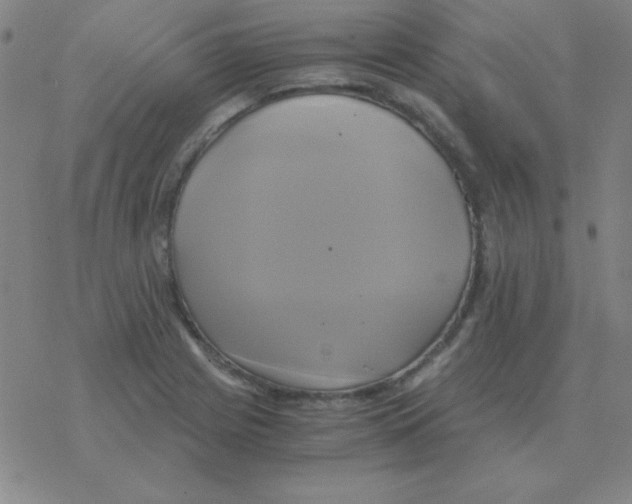 X0000076331225200610272021