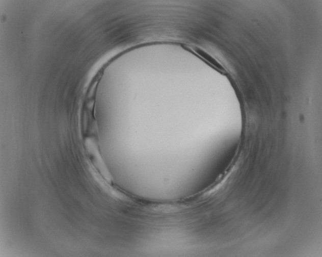 X0000076331246200610272021