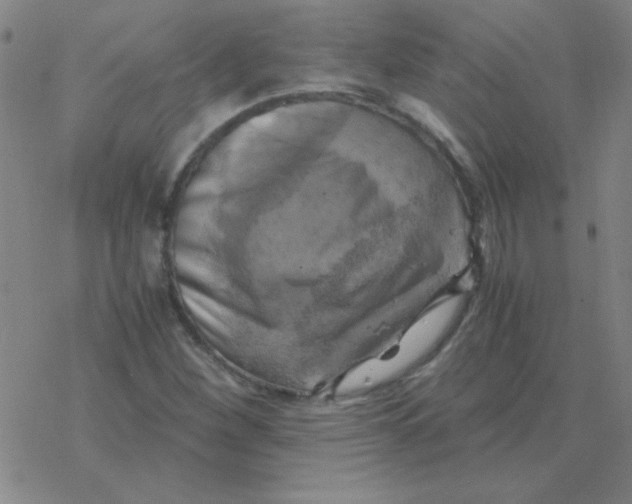 X0000076331260200610272020