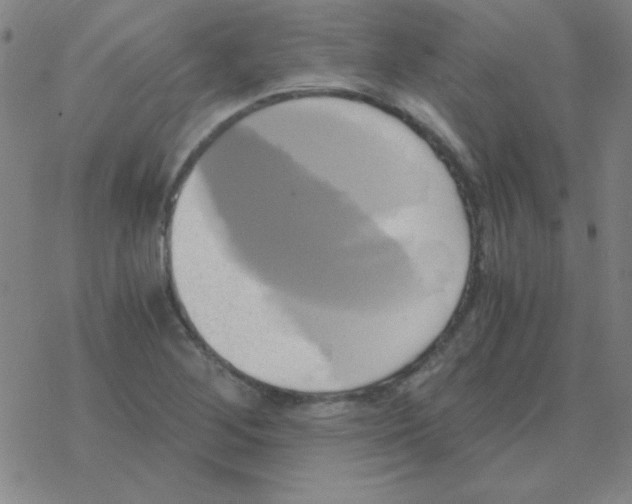 X0000076331268200610272020