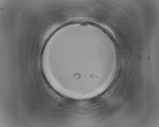 X0000076331279200610272020