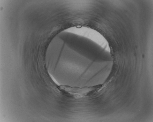 X0000076331297200610272019