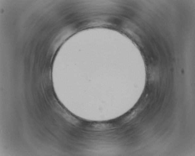 X0000076331322200610272019