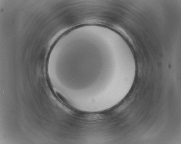 X0000076331331200610272020