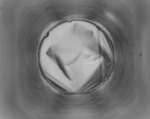 X0000076331341200610272020