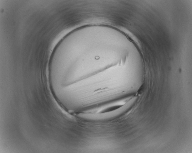 X0000076331343200610272020